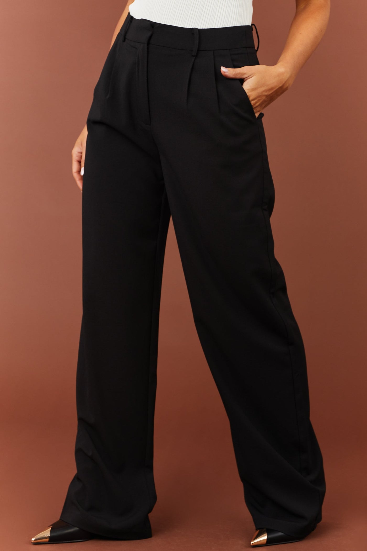 Black Pleated Wide Leg Twill Pants