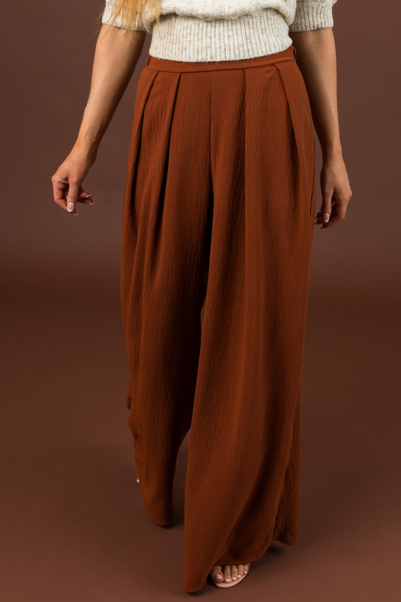 Cinnamon Pleated Wide Leg Flowy Elastic Waist Pants