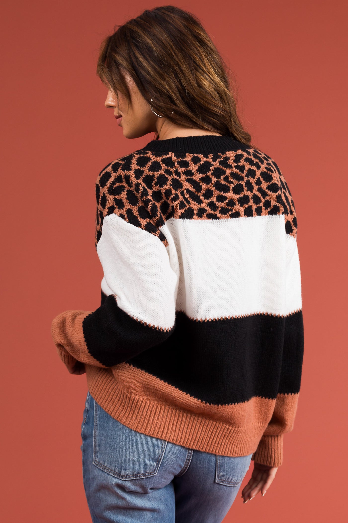 Ginger Animal Print Colorblock Long Sleeve Sweater