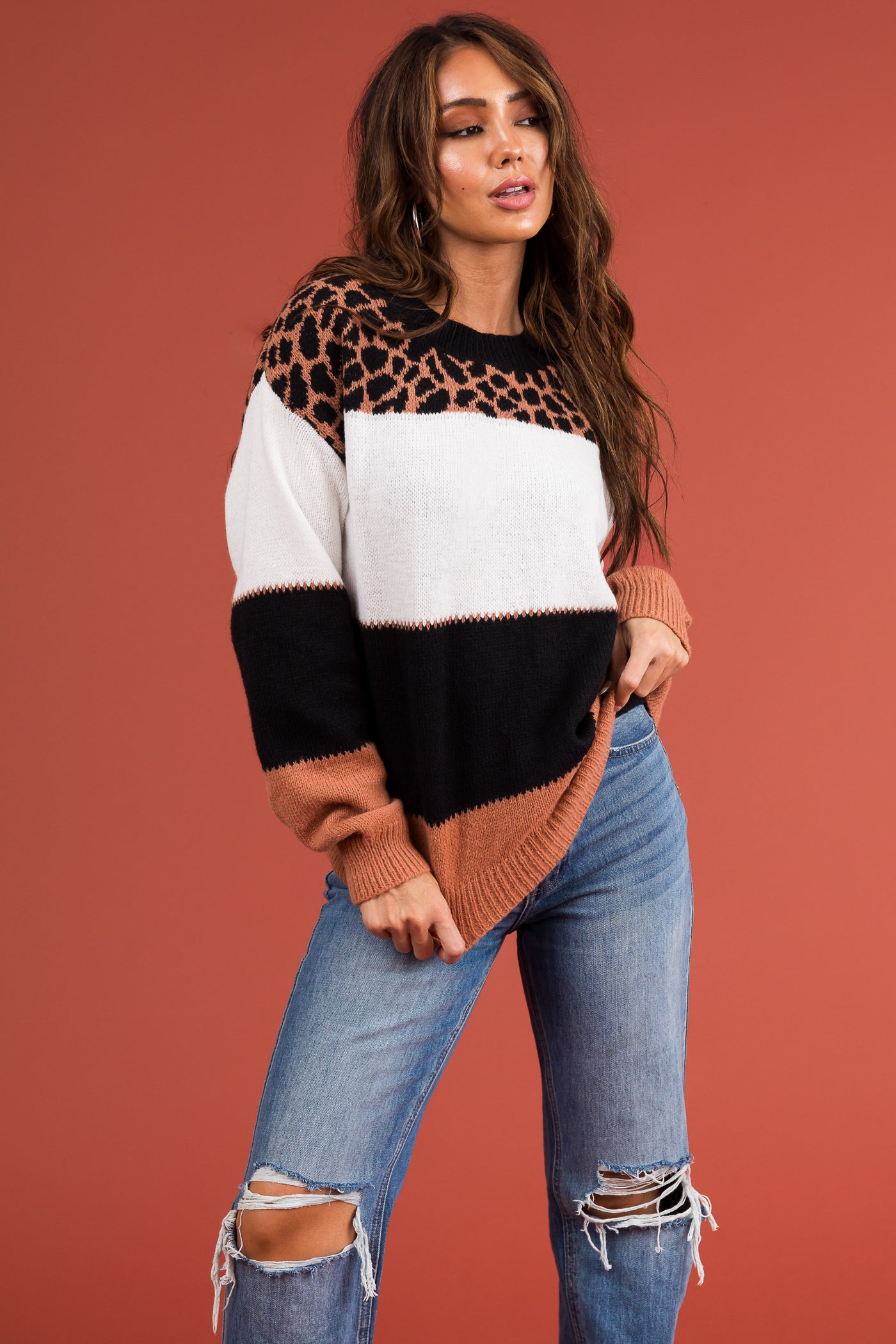 Ginger Animal Print Colorblock Long Sleeve Sweater
