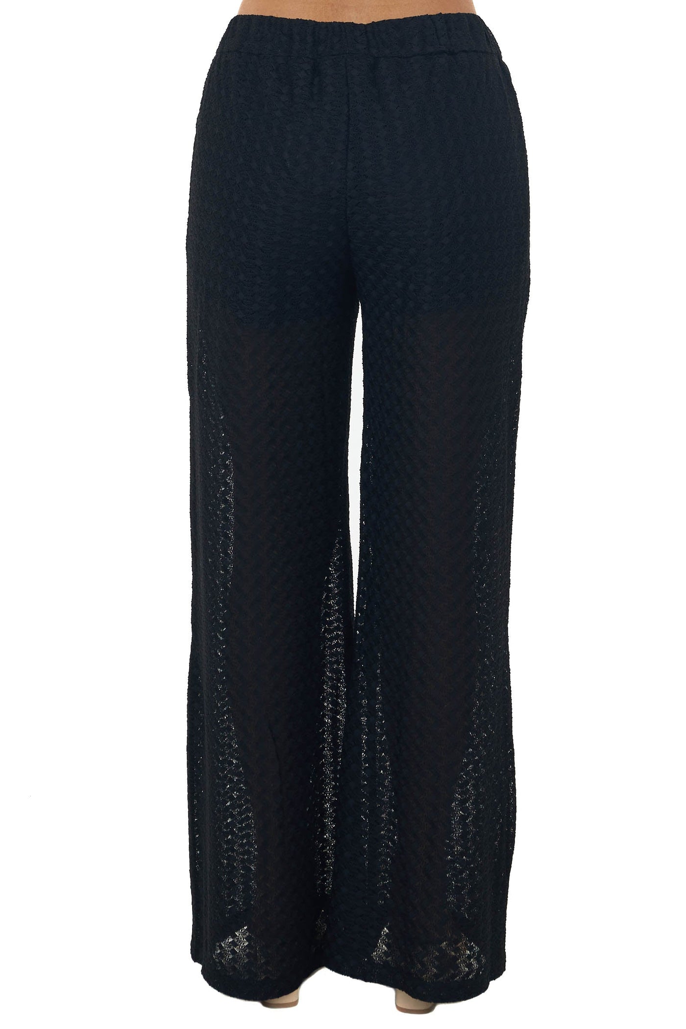 Black Sheer Elastic Band Lace Palazzo Pants
