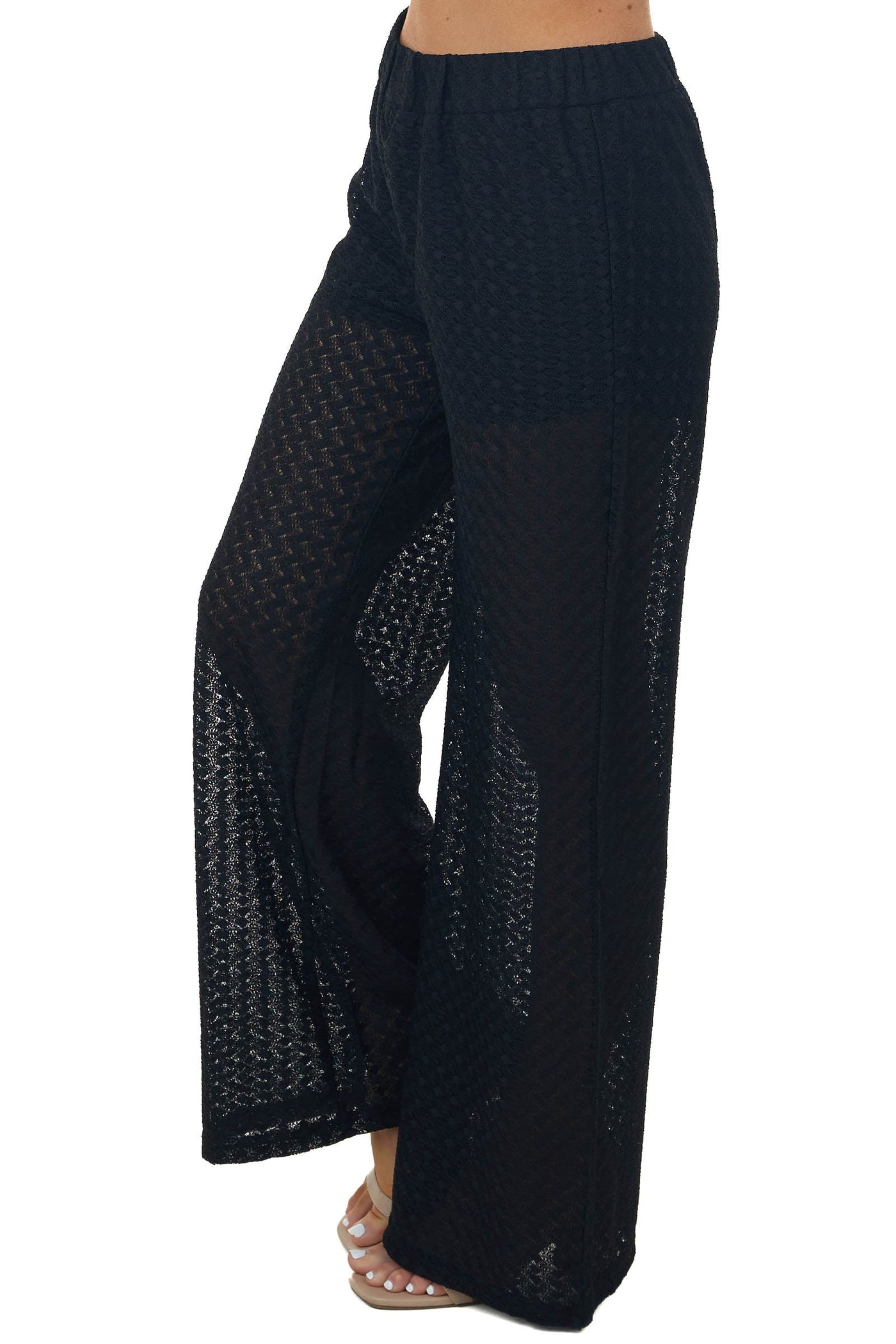 Black Sheer Elastic Band Lace Palazzo Pants