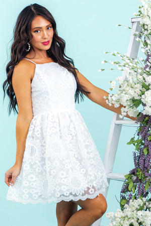 Off White Lace Sleeveless Mini Dress