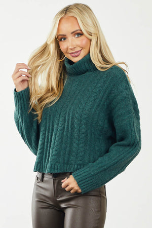 Pine Cable Knit Cropped Turtleneck Sweater