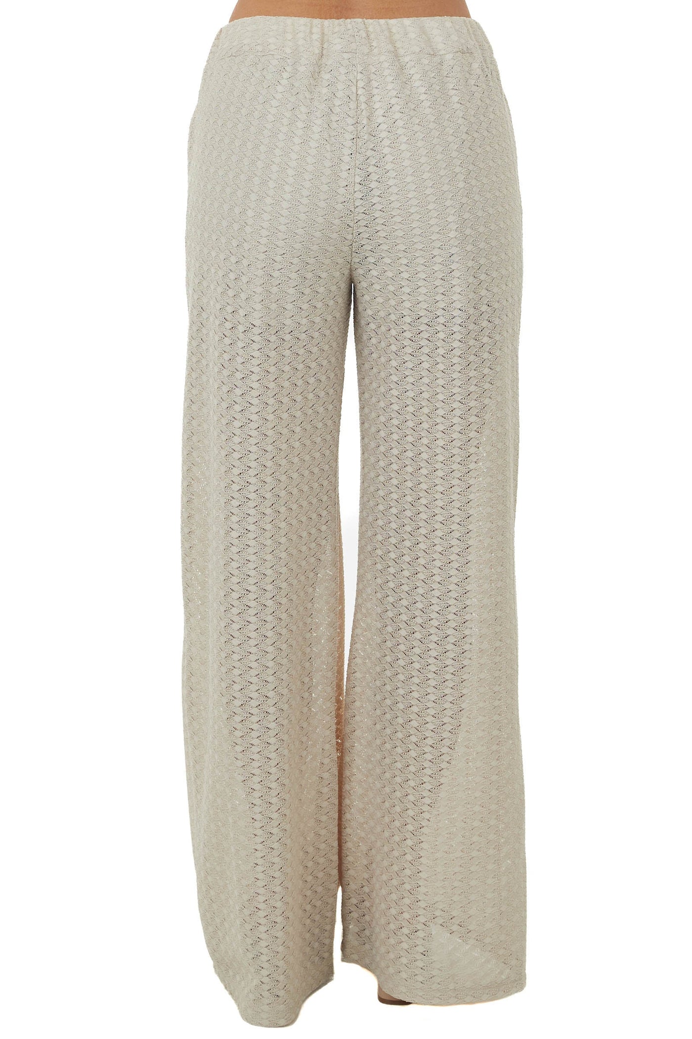 Sand Sheer Elastic Band Lace Palazzo Pants