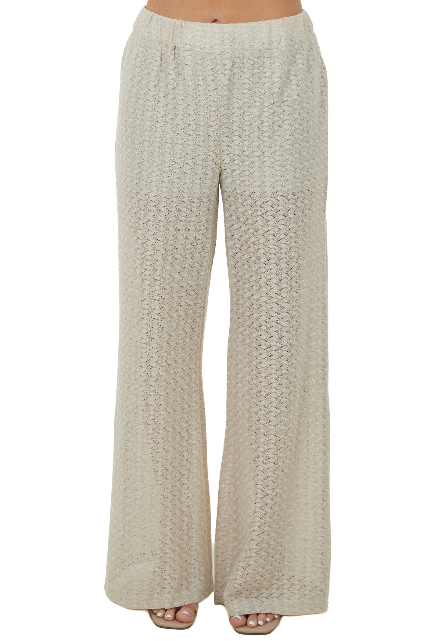 Sand Sheer Elastic Band Lace Palazzo Pants