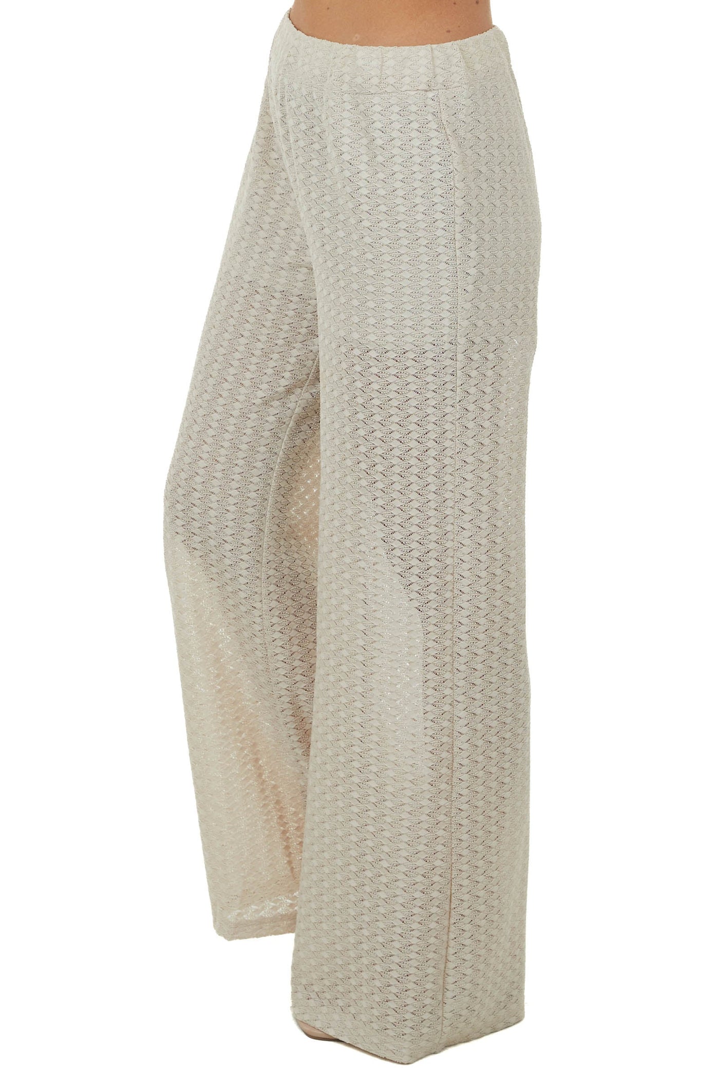 Sand Sheer Elastic Band Lace Palazzo Pants
