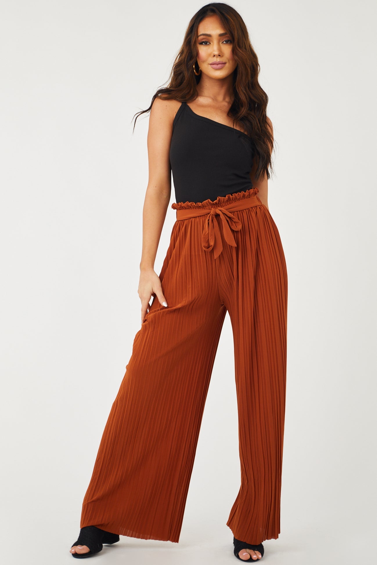Spice Brown Pleated Wide Leg Waist Tie Pants