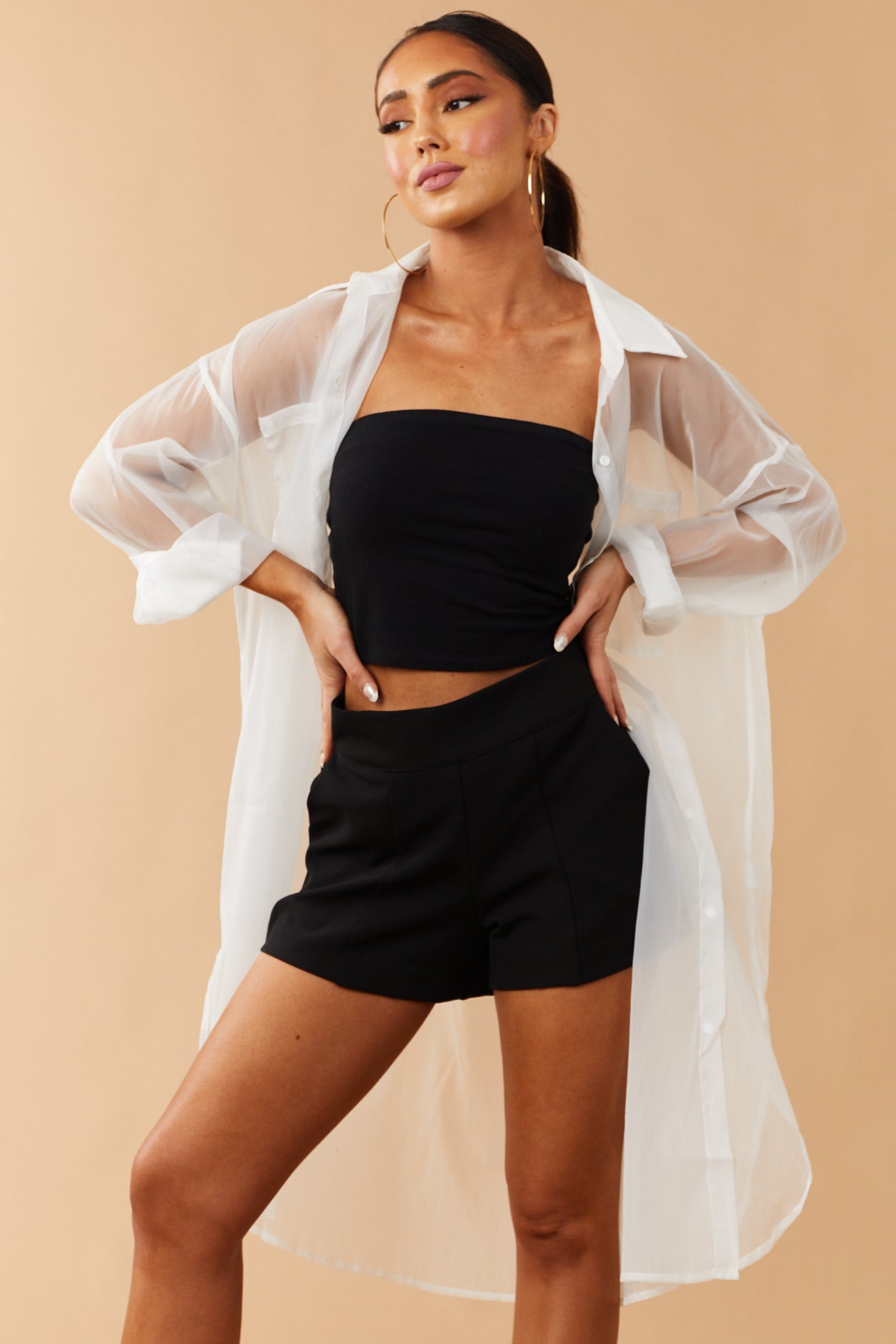 White Button Down Sheer Cover Up Shirt Dress