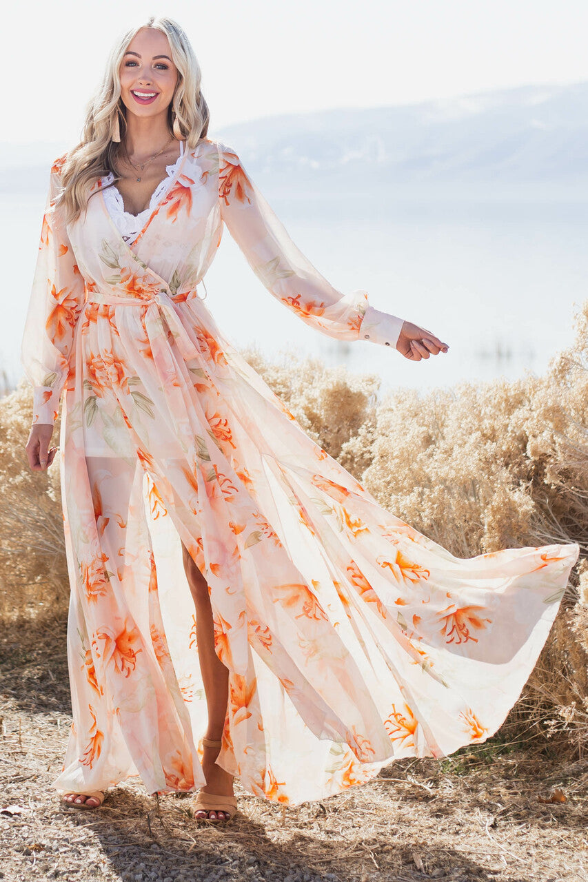 Light Peach Floral Print Long Sleeve Sheer Woven Maxi Dress