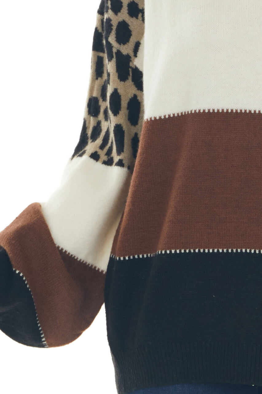 Cinnamon Cheetah Print Colorblock Knit Sweater