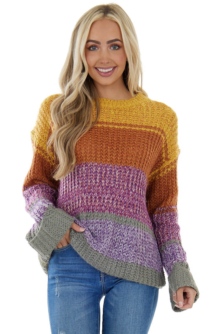 Amber Multicolor Striped Ribbed Knit Sweater 