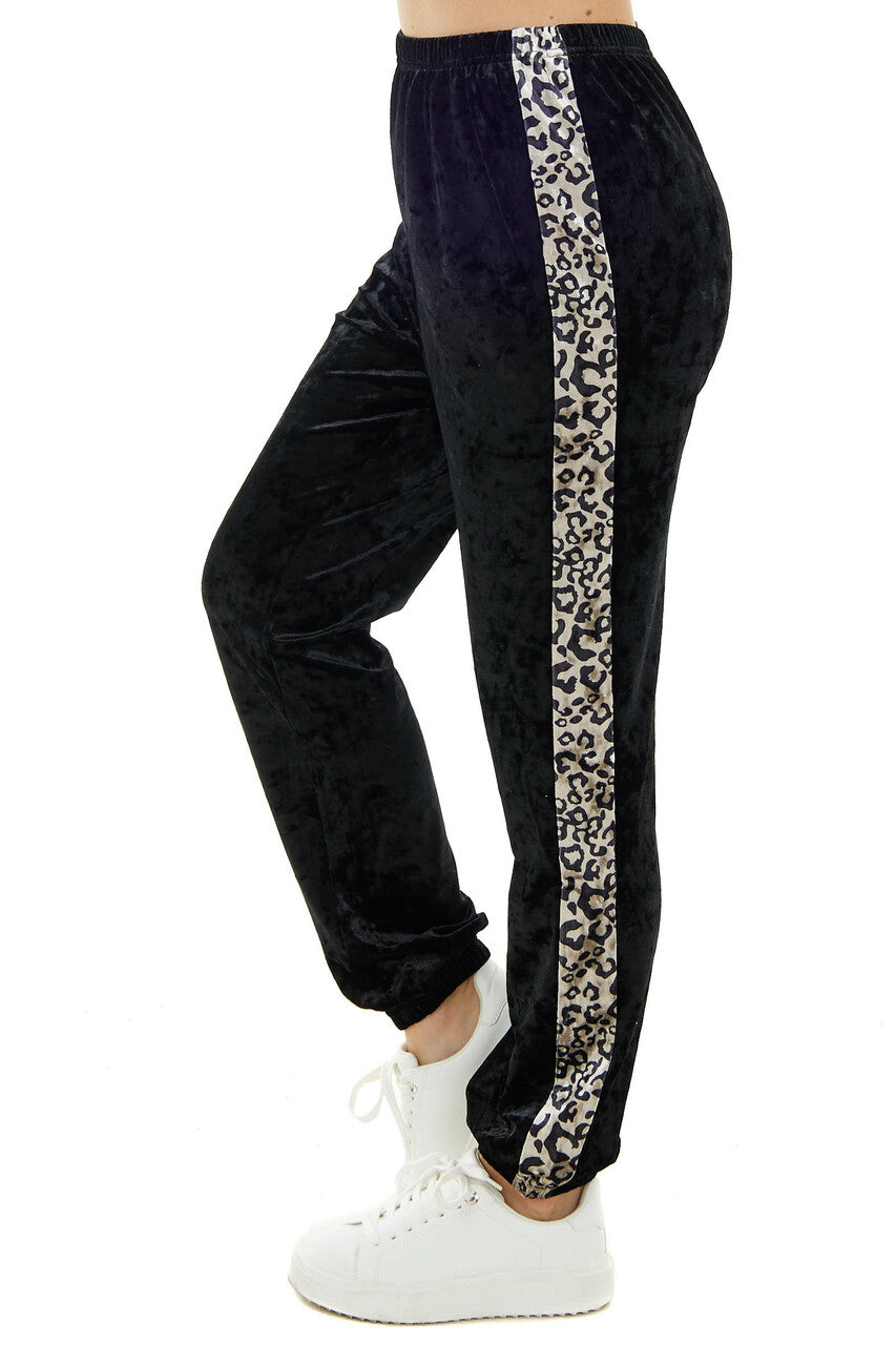 Black Velvet Leopard Side Contrast Sweatpants