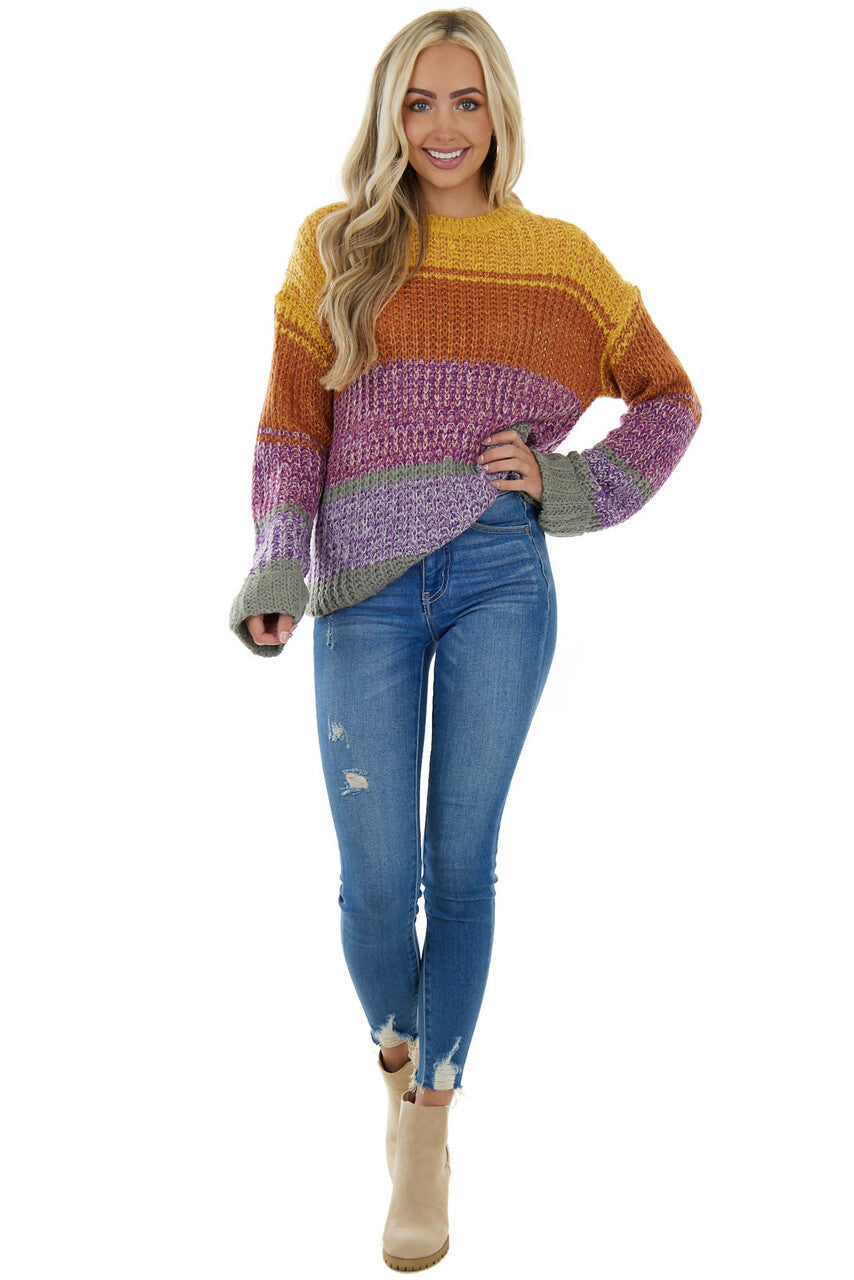 Amber Multicolor Striped Ribbed Knit Sweater 