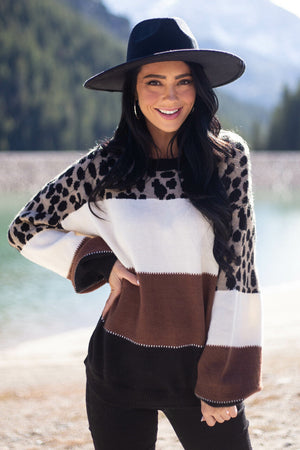 Cinnamon Cheetah Print Colorblock Knit Sweater