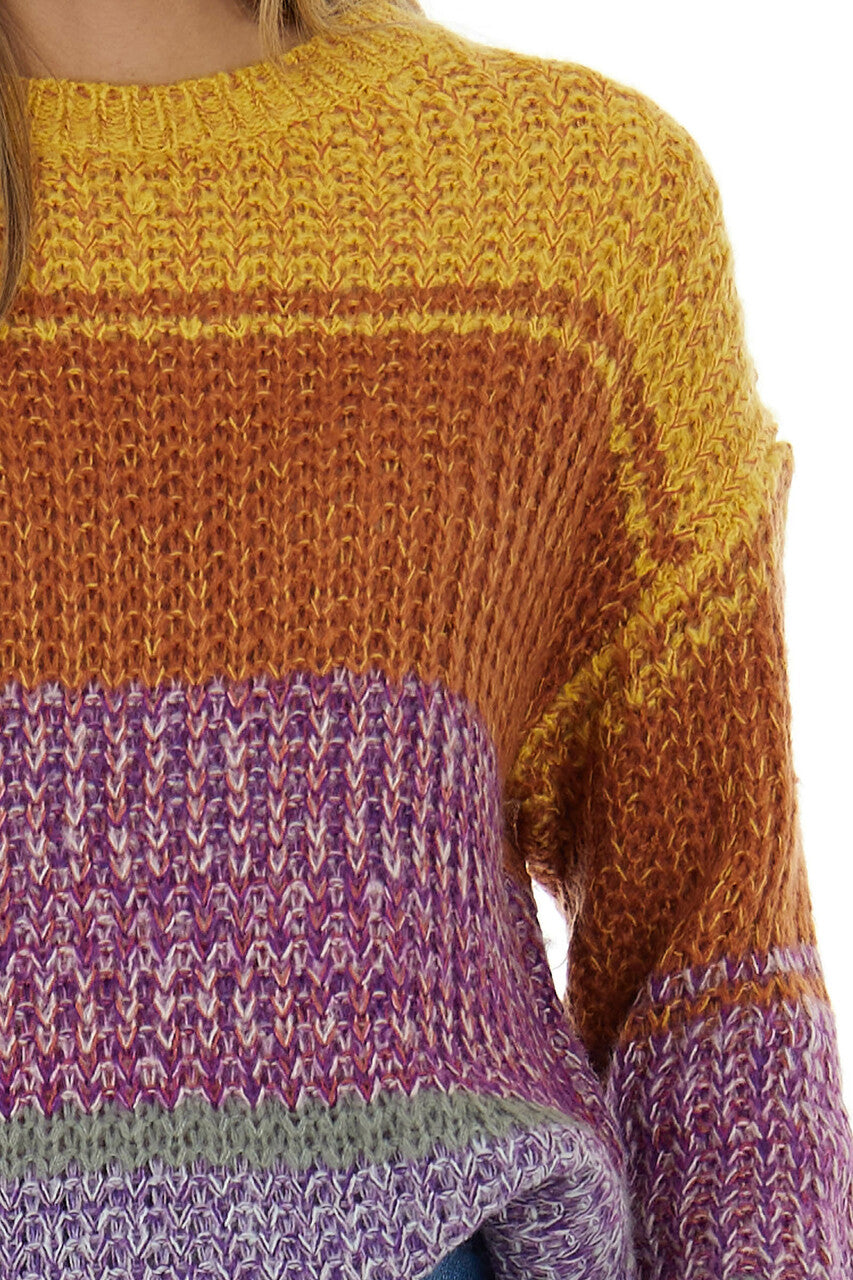 Amber Multicolor Striped Ribbed Knit Sweater 
